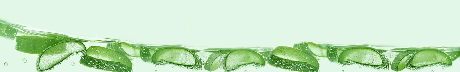 Aloe Vera - Ingredient | Banner Aloe Vera - Ingredient | Banner