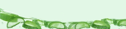 Aloe Vera | Ingredients Aloe Vera | Ingredients